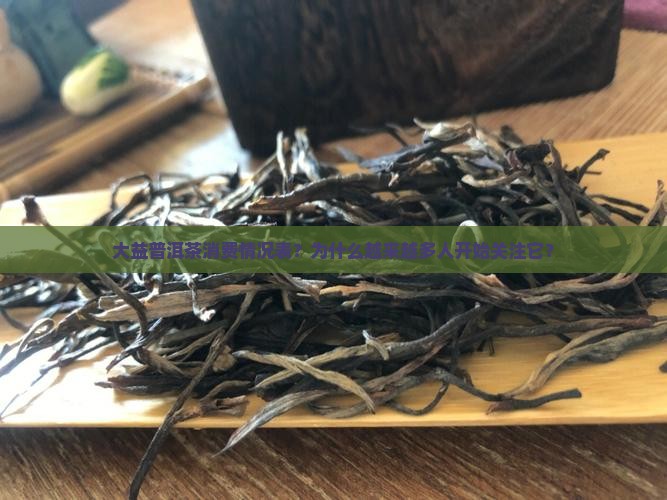大益普洱茶消费情况表