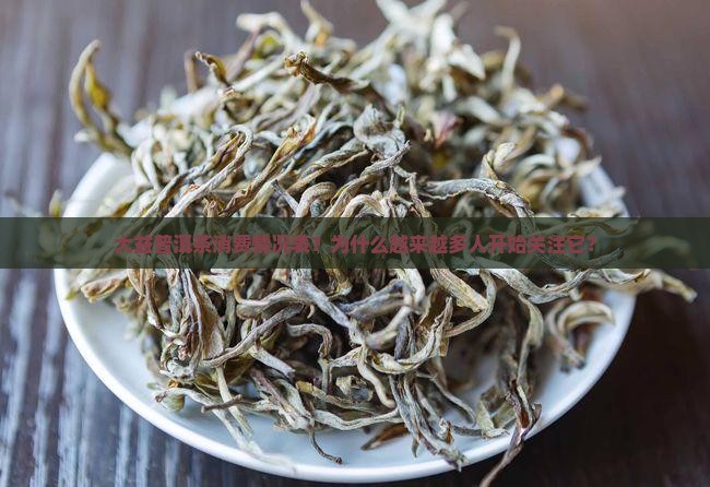 大益普洱茶消费情况表