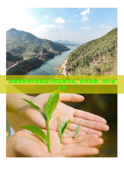 放普洱茶饼牛皮纸盒子