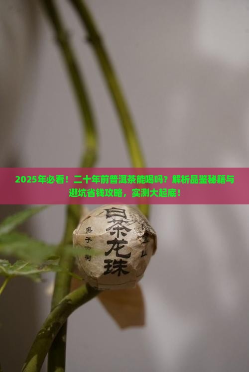 二十年前喝的普洱茶能喝吗