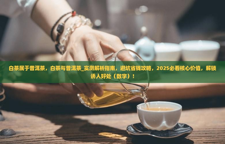 白茶属于普洱茶