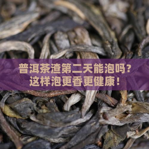 普洱茶渣第二天能泡吗