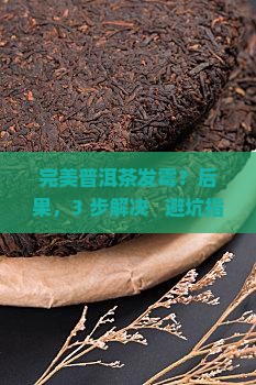 完美普洱茶发霉