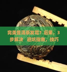 完美普洱茶发霉