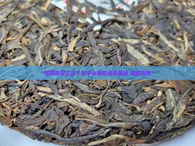 普洱茶泡茶初学者 普洱茶泡茶初学者