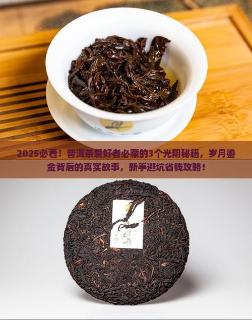 普洱茶光阴荏苒岁月鎏金