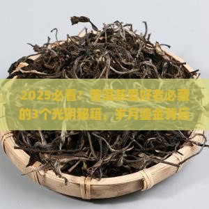普洱茶光阴荏苒岁月鎏金