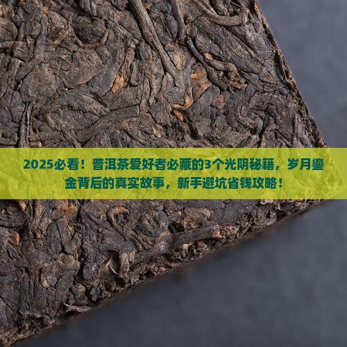 普洱茶光阴荏苒岁月鎏金