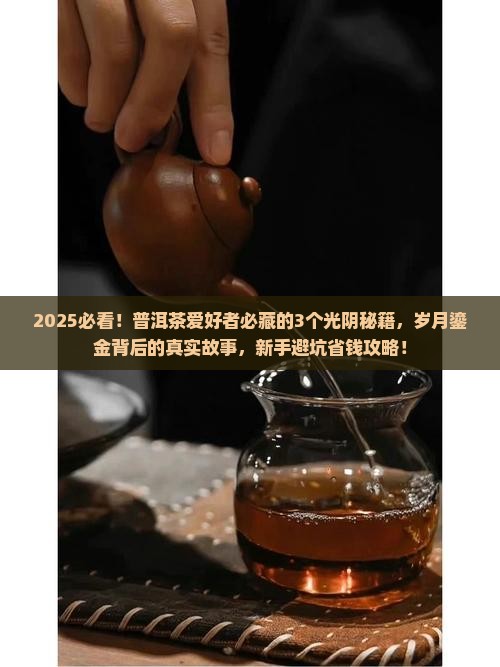 普洱茶光阴荏苒岁月鎏金
