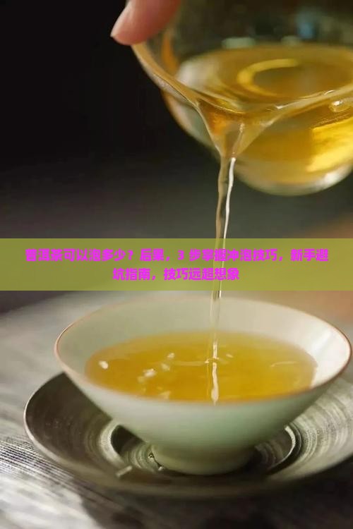 普洱茶可以泡多少