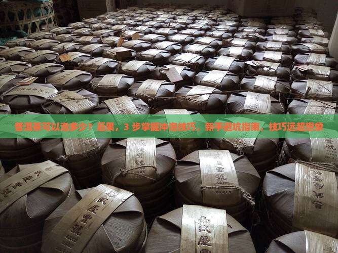 普洱茶可以泡多少