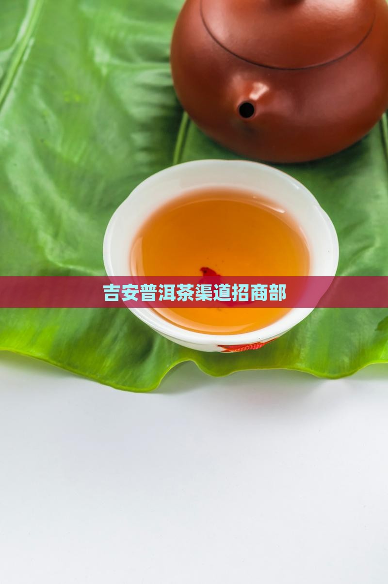 吉安普洱茶渠道招商部 吉安普洱茶渠道招商部