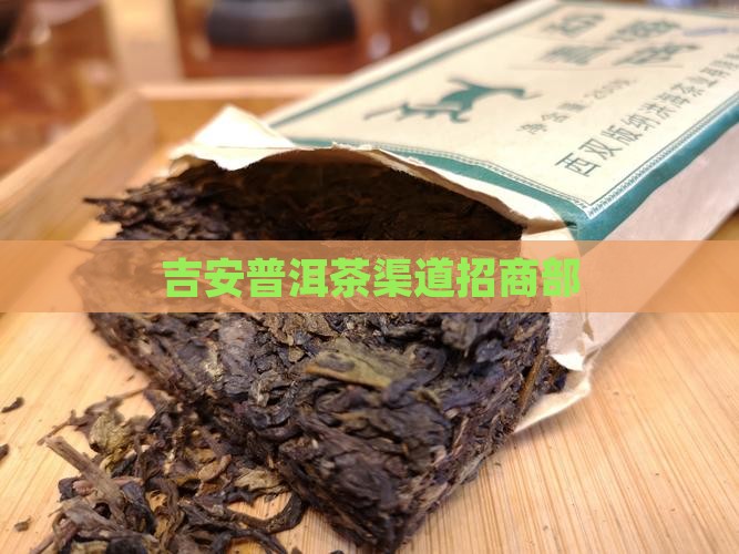 吉安普洱茶渠道招商部 吉安普洱茶渠道招商部