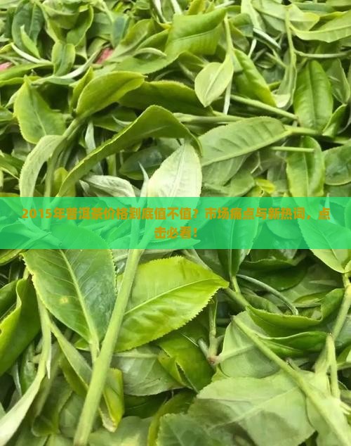 2015年普洱茶价格