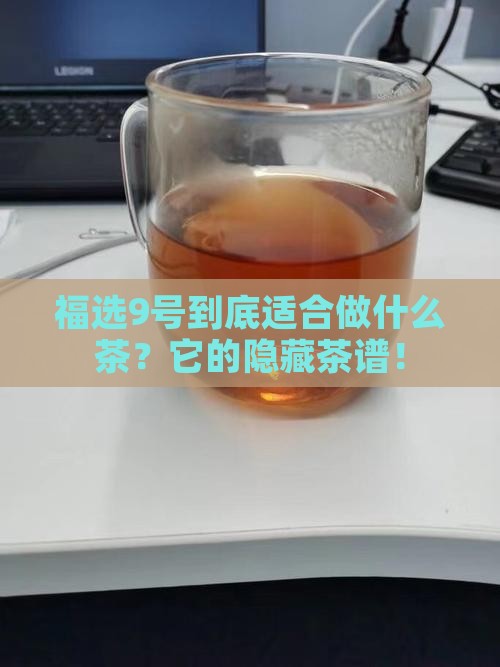 福选9号适合做什么茶