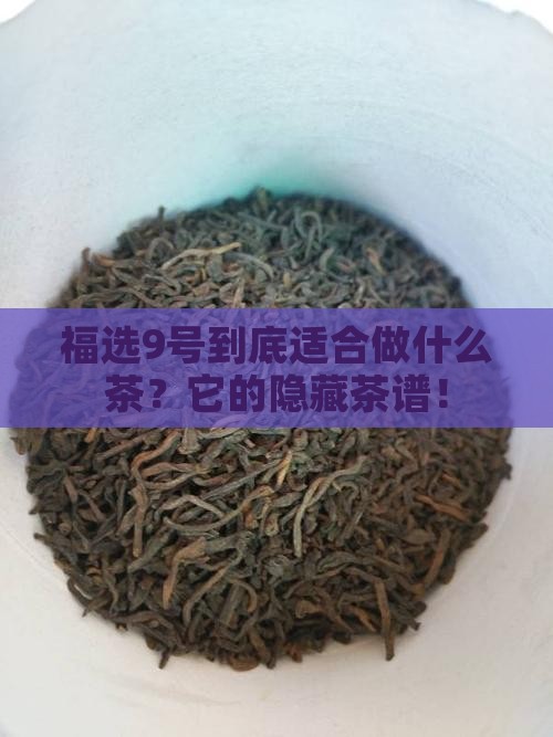 福选9号适合做什么茶
