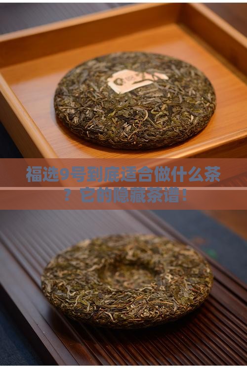 福选9号适合做什么茶