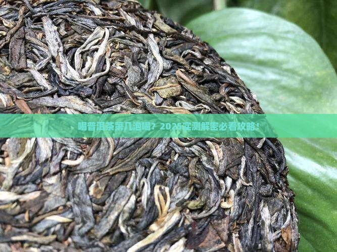 喝普洱茶第几泡效果好