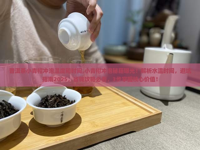 普洱茶小青柑冲泡温度和时间