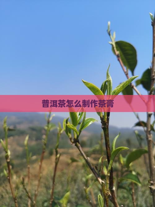 普洱茶膏怎么熬制