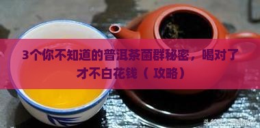陈年普洱茶中的菌群