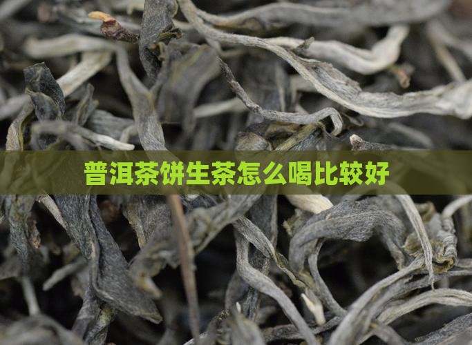 普洱茶饼生茶怎么喝比较好
