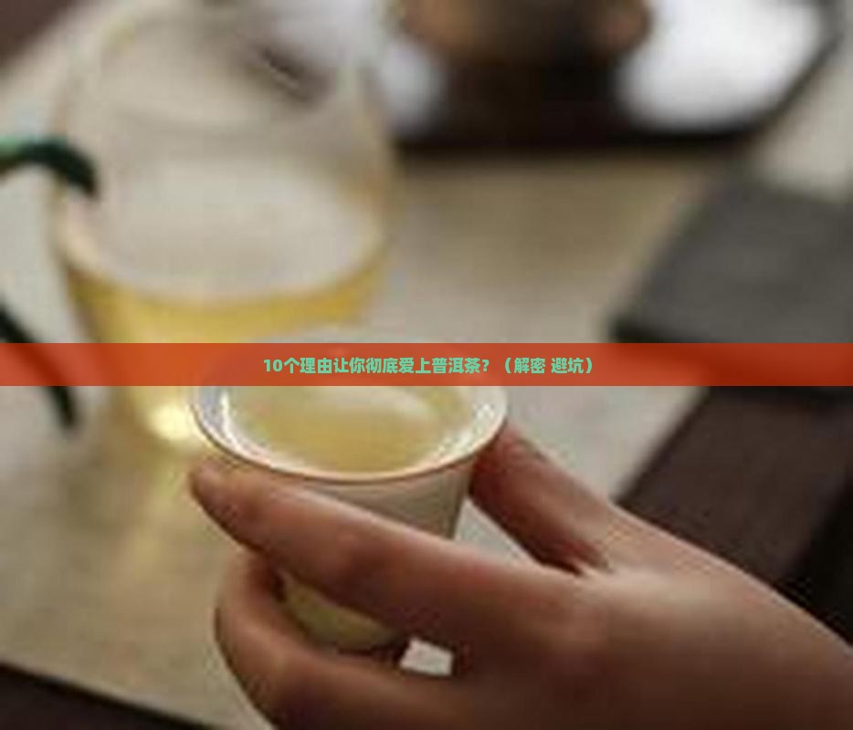 桀骜不驯的普洱茶