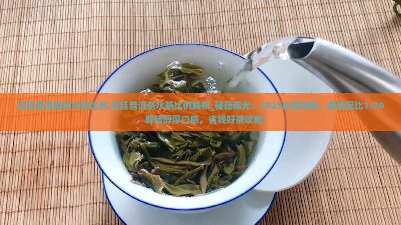 宫廷普洱茶的水茶比例