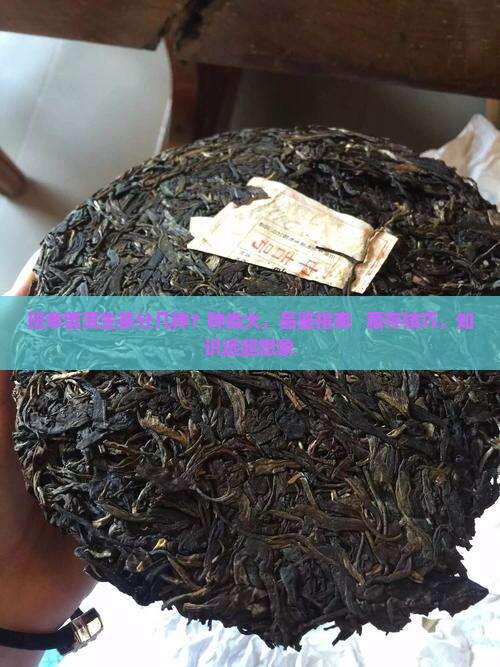 班章普洱生茶分几种