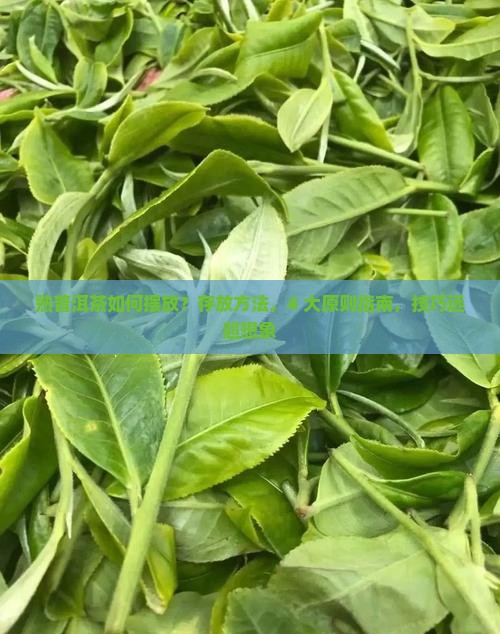 熟普洱茶如何摆放