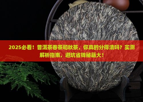 普洱茶春茶和秋茶的分别