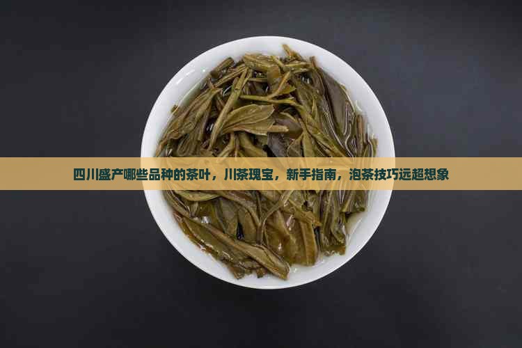 四川盛产哪些品种的茶叶 四川盛产哪些品种的茶叶