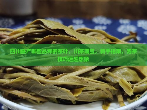 四川盛产哪些品种的茶叶 四川盛产哪些品种的茶叶