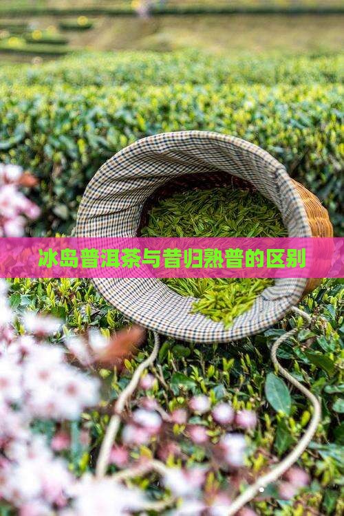 昔归熟普与冰岛熟普的区别