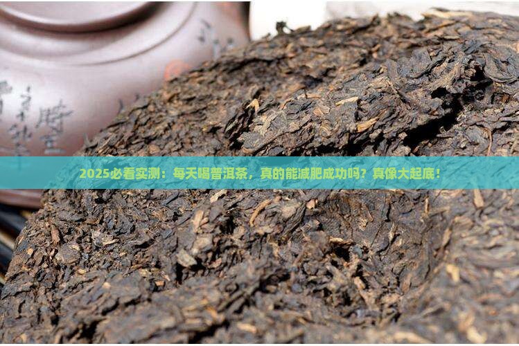 每天喝普洱茶可以减肥效果