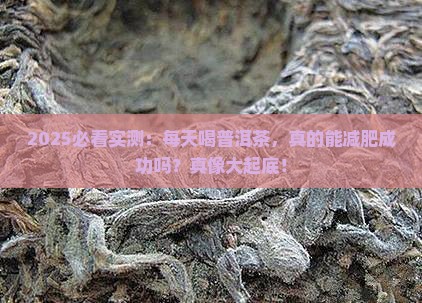 每天喝普洱茶可以减肥效果