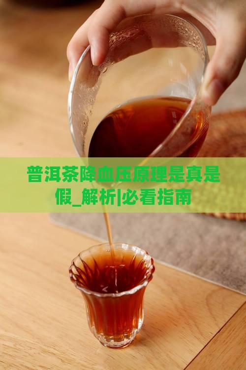 普洱茶降血压原理是真是假