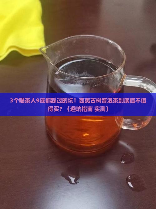 西夷古树普洱茶