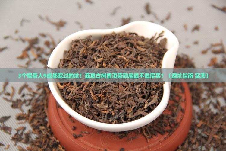西夷古树普洱茶