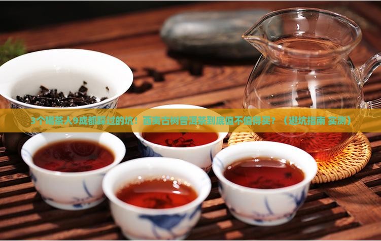 西夷古树普洱茶