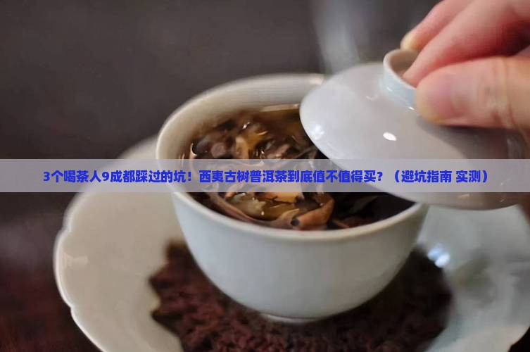 西夷古树普洱茶