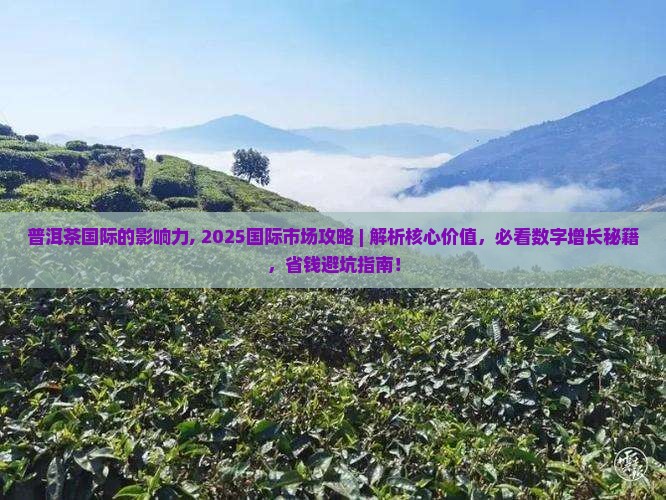 普洱茶国际的影响力