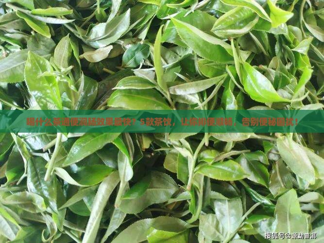 喝什么茶通便润肠效果最快