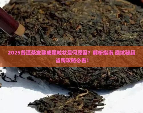 普洱茶发酵成颗粒状