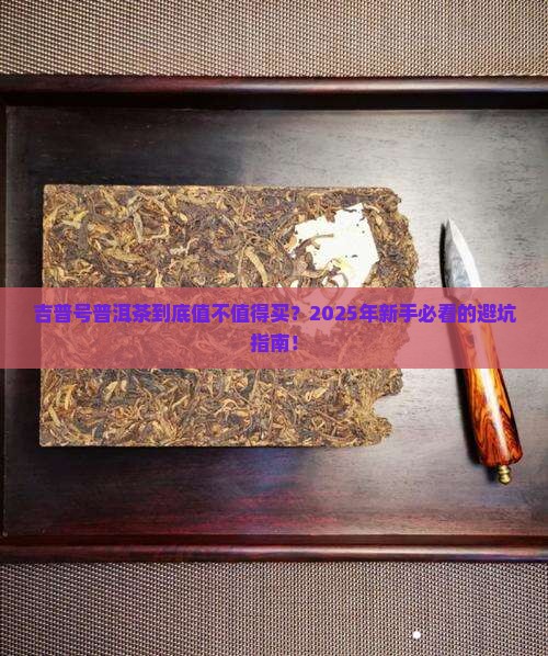 关于吉普号普洱茶