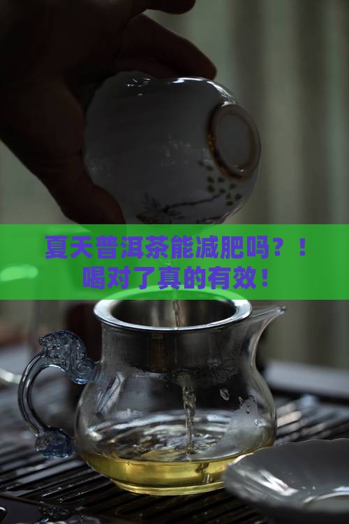 夏天普洱茶能减肥吗