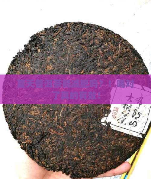 夏天普洱茶能减肥吗