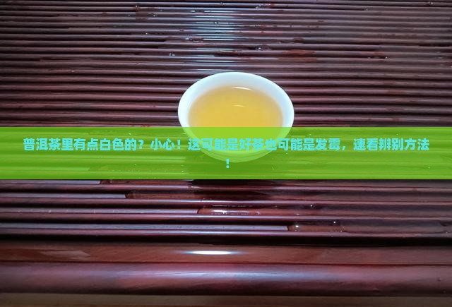 普洱茶里有点白色的