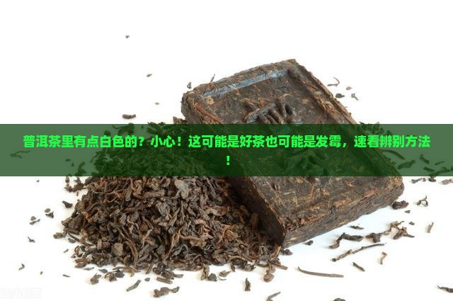 普洱茶里有点白色的