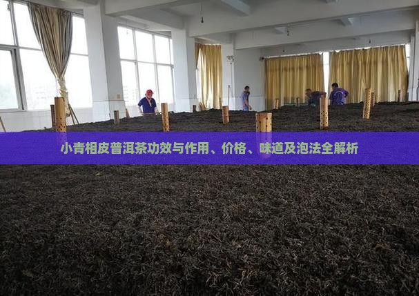 小青相皮普洱茶